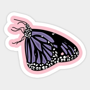 BUTTERFLY Sticker